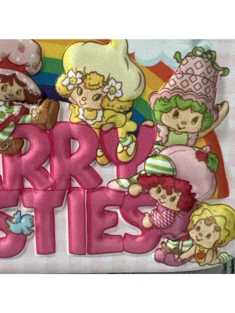 Strawberry Shortcake Molded Zip Around Pencil/Pen Case NWOT